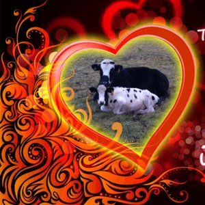 Meet your Posher, Suzie